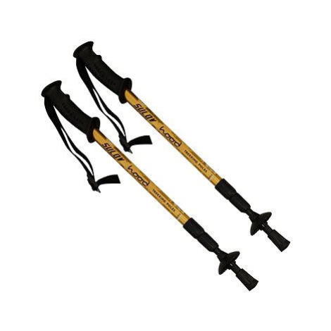 Nordic walking a trekové palice Sulov