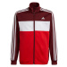 Tepláková súprava adidas Essentials Jr HE9317