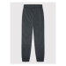 Adidas Teplákové nohavice Sprt Collection HE2083 Sivá Standard Fit