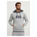 Mikina Helly Hansen HH LOGO HOODIE 33977