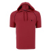 T8570 DEWBERRY HOODIE MEN'S T-SHIRT-PLAIN BURGUNDY