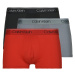 Calvin Klein Jeans  LOW RISE TRUNK 3PK X3  Boxerky Viacfarebná