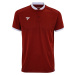 Men's T-shirt Tecnifibre Club Polo Cardinal