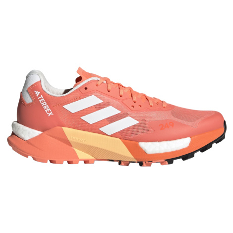 Women's running shoes adidas Terrex AGRAVIC ULTR CORFUS/CRYWHT/IMPORA