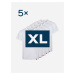5pack pánskych bielych tričiek AGEN - XL