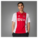 Domáci futbalový dres Ajax 24/25