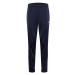 ADIDAS SPORTSWEAR Športové nohavice 'Essentials Warm-Up Tapered 3-Stripes'  námornícka modrá / b