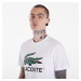 Tričko LACOSTE Cotton Jersey Signature Print T-Shirt White