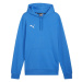 Pánska mikina Puma Team Goal Casuals Hoody M 658618 02