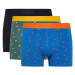 DEFACTO Regular Fit 3-pack Boxer