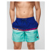 Pánske Modré Boardshortky Quiksilver Everyday Wordblock Volley 17