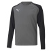 Mikina pre brankárov Puma teamPacer GK LS Jersey Jr 704939 43