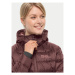 Jack Wolfskin Vatovaná bunda Nebelhorn Down Hoody 1207091 Bordová Regular Fit