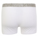 Calvin Klein Underwear Plus Boxerky  sivá / tmavosivá / biela