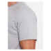 Columbia Tričko Rapid Ridge™ Back Graphic Tee II Sivá Regular Fit