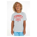 Detské bavlnené tričko Tommy Hilfiger šedá farba, s potlačou