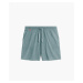 Men's shorts ATLANTIC - emerald