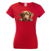 Dámské tričko s potlačou Labradorský retríver - tričko pre milovníkov psov