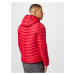 HOLLISTER Zimná bunda  červená