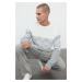 Trendyol Gray Regular Crew Neck Ethnic Knitwear Sweater