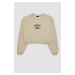 DEFACTO Cool Oversize Fit Crew Neck Thick Sweatshirt