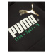 Puma Mikina No.1 Logo Celebration 676826 Čierna Regular Fit