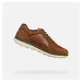 Brown men's sneakers Geox Spherica Ec12 - Men's