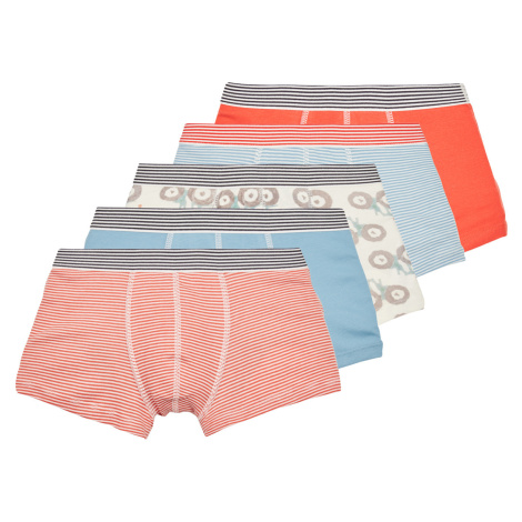 Petit Bateau  BOXERS PETIT BATEAU PACK X5  Boxerky Viacfarebná