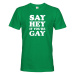 Pánské tričko s potlačou Say hey if you are gay - LGBT pánské tričko