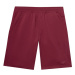 Pánske teplákové kraťasy 4F SHORTS CAS-4FWSS24TSHOM284-61S-DARK RED