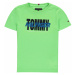 Tommy Hilfiger Junior Boys Alpine Short Sleeve T Shirt