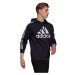 Adidas Essentials Hoodie M H14642 muži