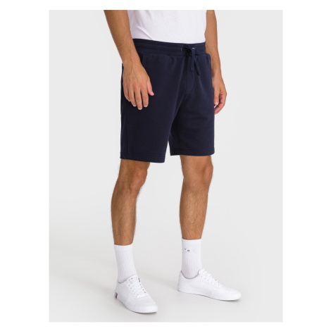 Pánske kraťasy a šortky Tommy Hilfiger