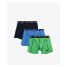 Men's boxers ATLANTIC 3Pack - multicolor