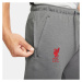 Pánské kalhoty Liverpool FC M model 16325311 - NIKE