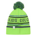 Detská zimná čiapka COLOR KIDS Hat - Logo CK-2144-Green Gecko