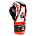 Boxerské rukavice DBX BUSHIDO ARB407v2 6 oz.