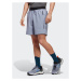 Adidas Športové kraťasy Terrex Liteflex Hiking Shorts HS9777 Fialová Loose Fit