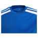 ADIDAS PERFORMANCE Funkčné tričko 'Squadra 21'  kráľovská modrá / biela