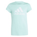 Bavlnené tričko adidas Essentials Big Logo Tee Jr IM0279