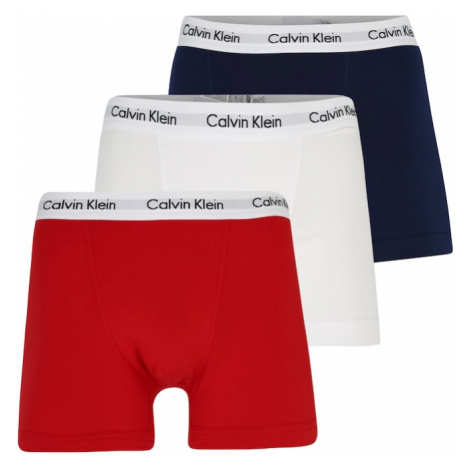 Pánska spodná bielizeň Calvin Klein