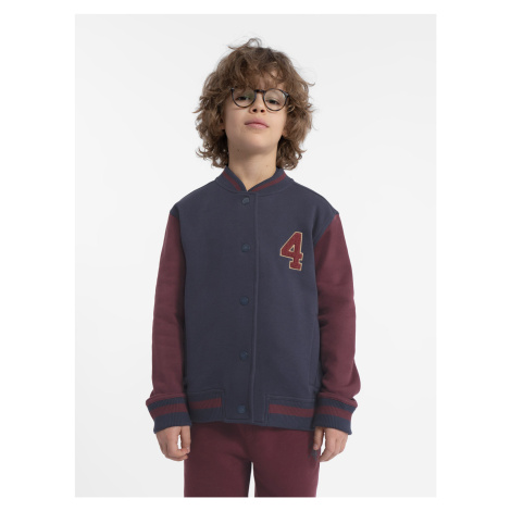 Boys' cotton sweatshirt 4F