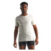 Men's T-shirt Icebreaker Anatomica SS Crewe white