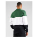 Nike Sportswear Tričko  trávovo zelená / čierna / biela