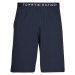 Tommy Hilfiger  JERSEY SHORT  Šortky/Bermudy Námornícka modrá