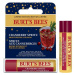 Burt’s Bees Festive Cranberry Spritz hydratačný balzam na pery v tyčinke