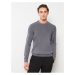 LC Waikiki Men's Crew Neck Knitwear Sweater