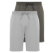 Trendyol Anthracite-Grey 2 Pack Regular 100% Cotton Comfortable Shorts