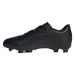 Chlapčenské futbalové kopačky outdoorové ADIDAS Predator Accuracy.4 Flexible JR FG black black w