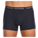 3PACK pánske boxerky Tommy Hilfiger viacfarebné (UM0UM02203 0WS)